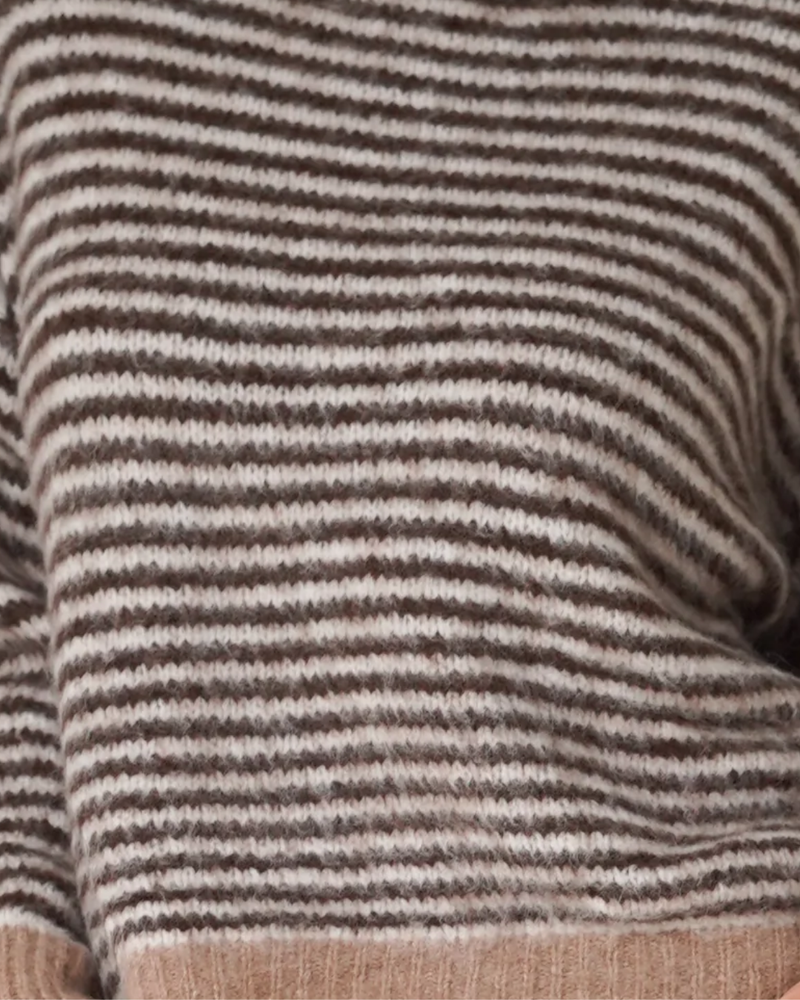 Anna Pullover Crew Neck Stripes Beige / Brown-zoom-