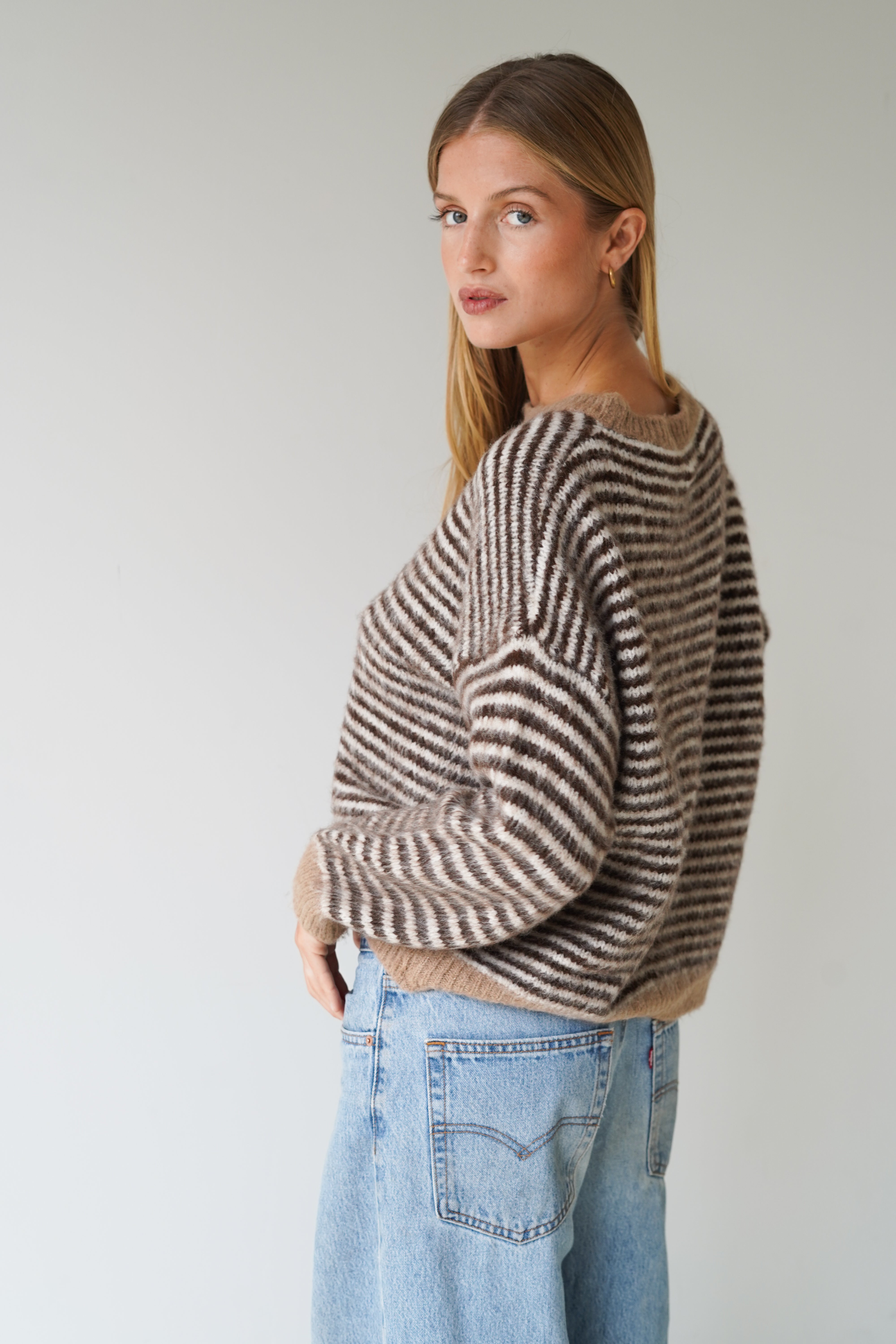 Anna Pullover Crew Neck Stripes Beige / Brown-zoom-4